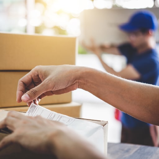 Rastrea tus paquetes